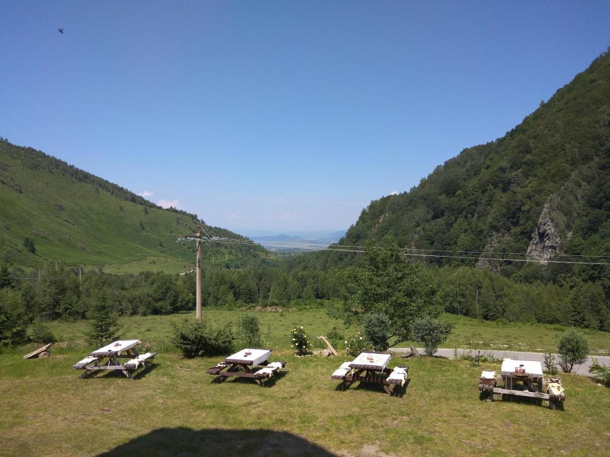 Cabana Soarelui Retezat Nucsoara  Экстерьер фото